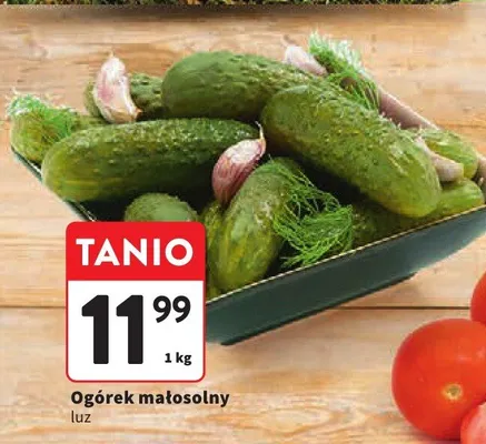 Ogórek małosolny luz promocja w Intermarche