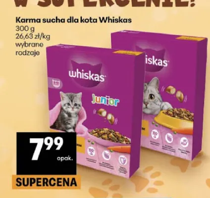 Karma sucha dla kota Whiskas Junior promocja w Delikatesy Centrum