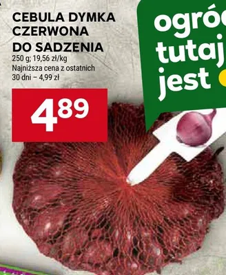 Gazetka Market, strona 17 promocja w Stokrotka