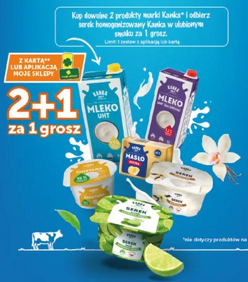 Serek homogenizowany waniliowy Kanka promocja w Groszek
