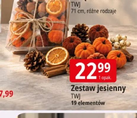 Zestaw jesienny Twj 19 elementów promocja w Leclerc