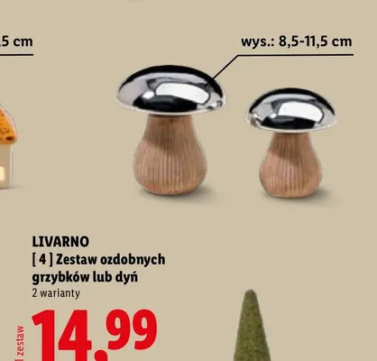 Zestaw ozdobnych dyń Livarno promocja w Lidl