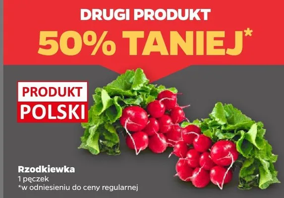 Rzodkiewka polska promocja w Netto