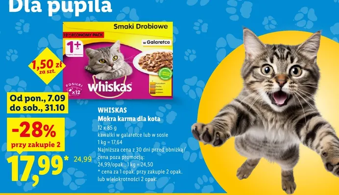 Mokra karma dla kota kawałki w galaretce Whiskas 12-pak promocja w Lidl