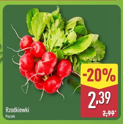 Rzodkiewki promocja w Aldi
