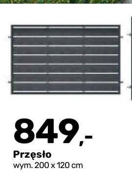 Przęsło ogrodzeniowe Kornel promocja w Bricomarche
