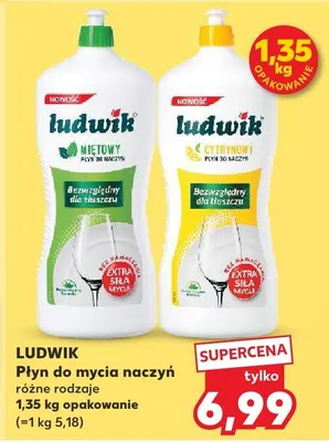 Płyn do mycia naczyń różne rodzaje promocja w Kaufland