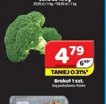 Brokuł promocja w Delfin