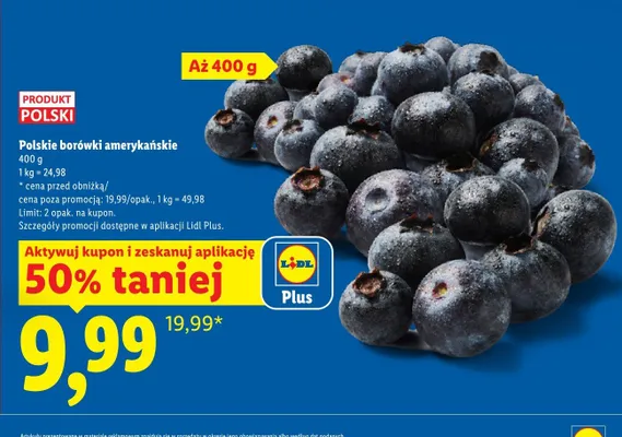 Polskie borówki amerykańskie promocja w Lidl