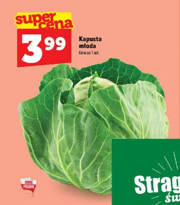 Kapusta młoda promocja w TOPAZ