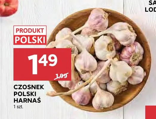 Czosnek polski Harnaś promocja w Stokrotka