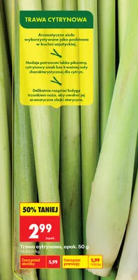 Trawa cytrynowa promocja w Biedronka