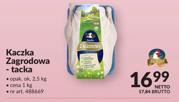 Kaczka Zagrodowa - tacka promocja w Makro