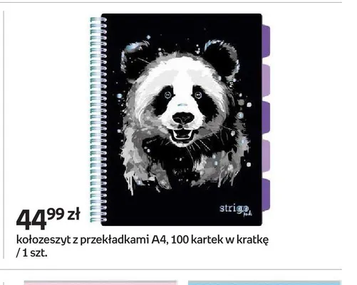 Kołoszeszyt z przekładkami A4 100 kartek w kratkę Strigo promocja w Empik
