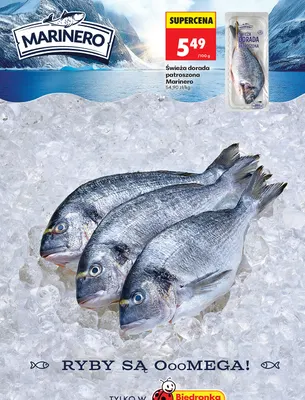 Świeża dorada patroszona Marinero promocja w Biedronka