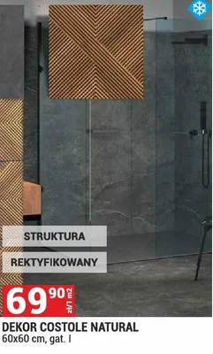 Dekor COSTOLE NATURAL 60x60cm gat. I struktura rektyfikowany promocja w Merkury Market