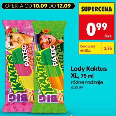 Lody Kaktus XL Patec Sensei promocja w Biedronka