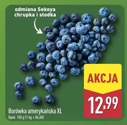 Borówka amerykańska XL promocja w Aldi