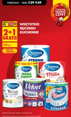 Ręcznik papierowy Turbo Velvet promocja w Biedronka