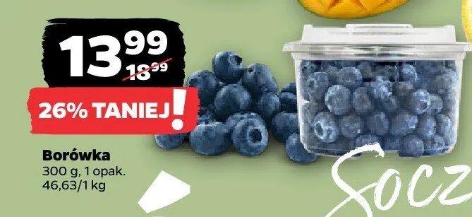 Borówka promocja w Netto
