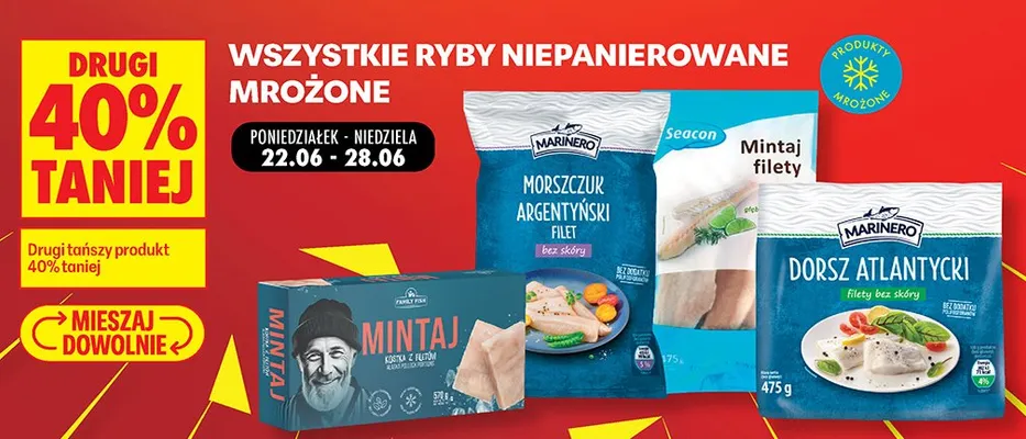 Ryby niepanierowane mrożone promocja w Biedronka