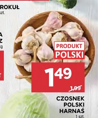 Czosnek polski Harnaś promocja w Stokrotka