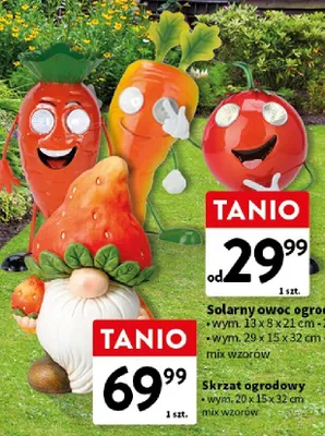 Solarny owoc ogrodowy promocja w Intermarche