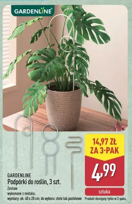 Podpórki do roślin, 3 szt. Gardenline promocja w Aldi