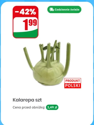 Kalarepa polska promocja w Dino