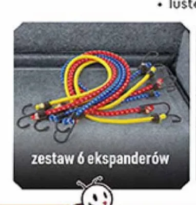 Zestaw 6 ekspanderów promocja w Biedronka