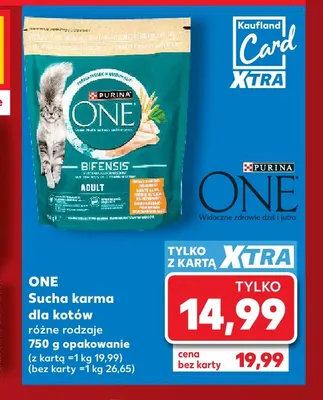 Sucha karma dla kotów Purina ONE promocja w Kaufland