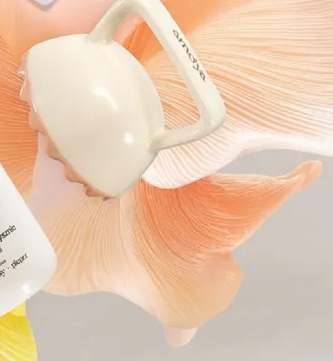 Szczotka do masażu ciała Amo'ya promocja w Rossmann