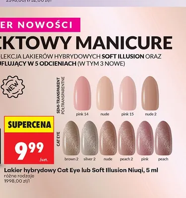 Lakier hybrydowy Cat Eye Niuqi promocja w Biedronka