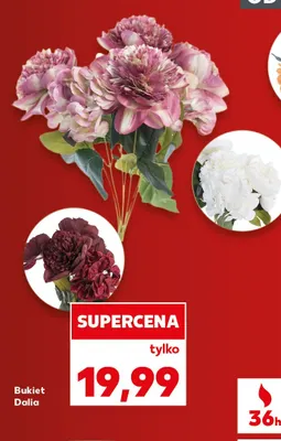 Bukiet Dalia promocja w Kaufland