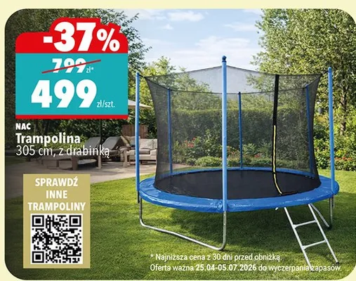 Trampolina NAC 305cm z drabinką promocja w Biedronka