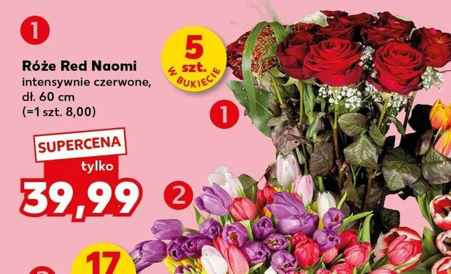 Tulipany bukiet dwukolorowy lub wielokolorowy promocja w Kaufland