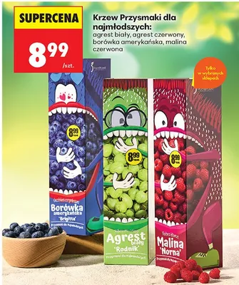 Krzewy owocowe Przysmaki dla najmłodszych, różne rodzaje promocja w Biedronka