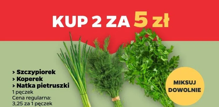 Natka pietruszki Netto promocja w Netto