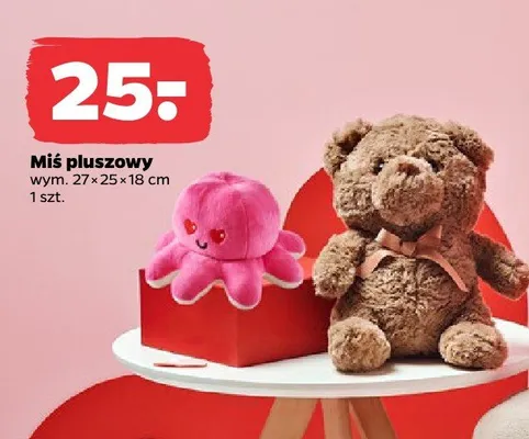 Miś pluszowy promocja w Netto