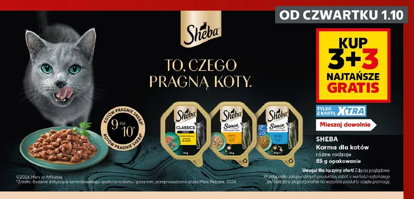Karma dla kotów Sheba promocja w Kaufland