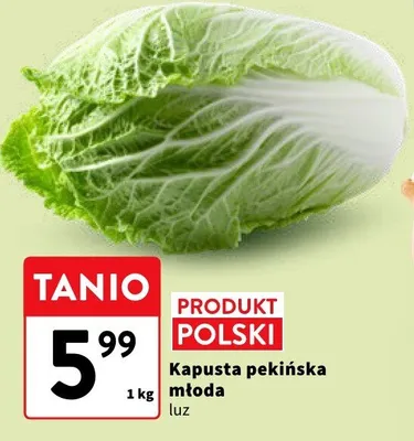 Kapusta pekińska młoda polska luz promocja w Intermarche