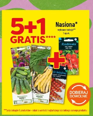 Nasiona promocja w POLOmarket