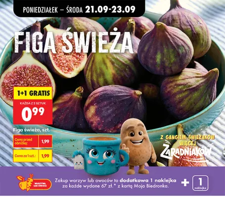 Figa świeża promocja w Biedronka