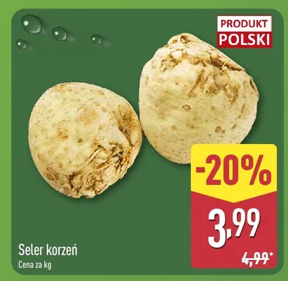 Seler korzeń promocja w Aldi