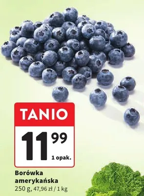 Borówka amerykańska promocja w Intermarche