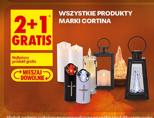 Wszystkie produkty marki Cortina promocja w Biedronka