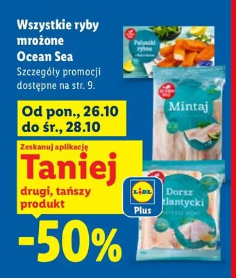 Paluszki rybne Ocean Sea promocja w Lidl