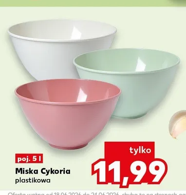 Miska plastikowa Cykoria 5 l promocja w Kaufland