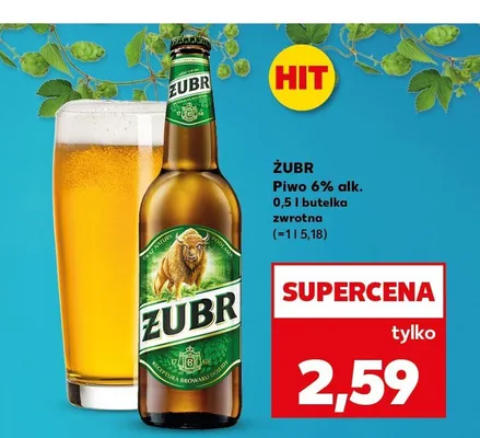 Piwo Żubr 6% alk. promocja w Kaufland