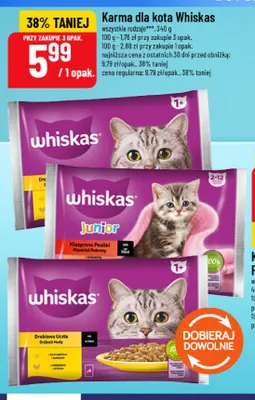 Karma dla kota Whiskas Drobiowa Uczta promocja w POLOmarket